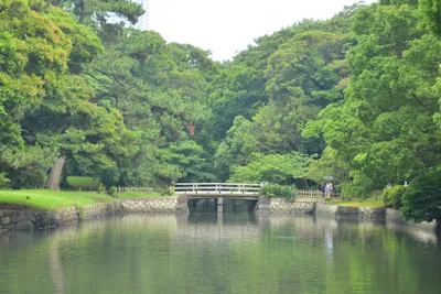 DSC_3424 (Large).JPG